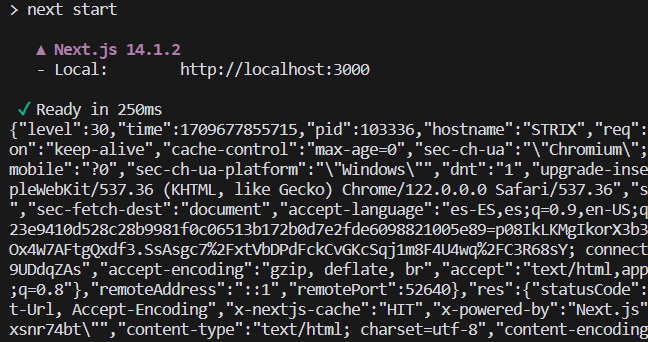 Next.js server output with logs