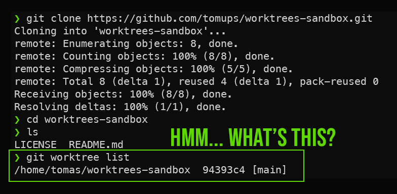 Terminal cloning a repo and showing it has a worktree